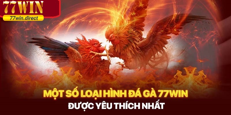 Các thể loại kèo cược chọi gà tại nhà cái