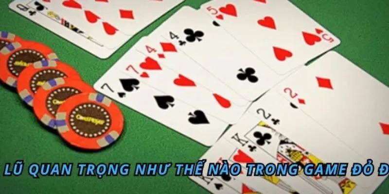 Tầm quan trọng của việc hiểu cù lũ Hi88